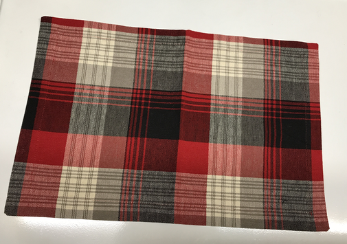Champlain Place Mat