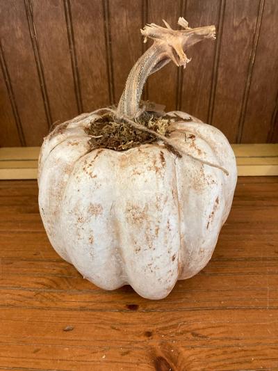 Pumpkin - White