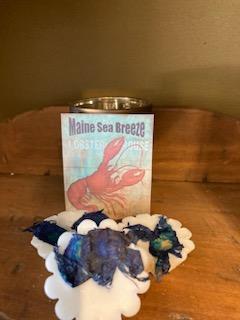 Soy Melting Tarts - Maine Sea Breeze