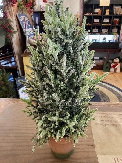 Christmas Tree - 20" - Potted - Topiary