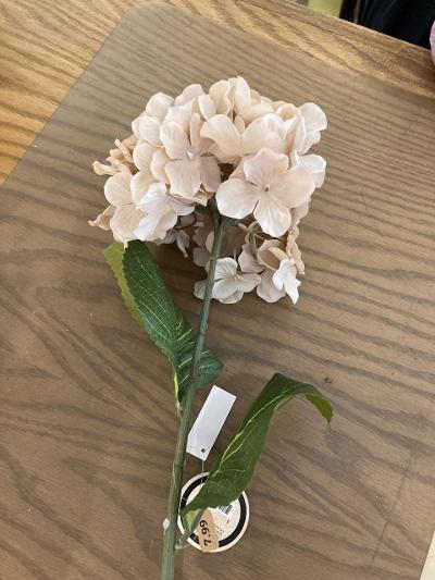Autumn Cream Hydrangea Stem - 28"