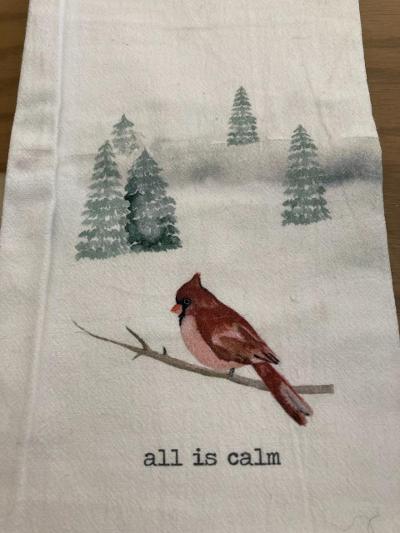 Winterland Towel - Calm Cardinal