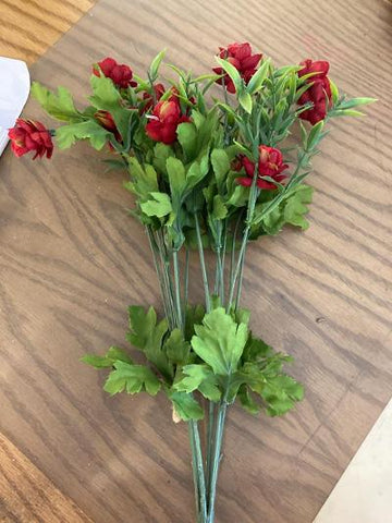 Red Floral Stem