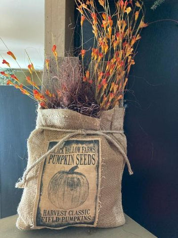 Pumpkin Seeds Bag