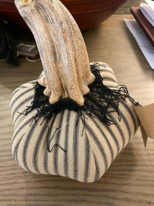 Striped Pumpkin