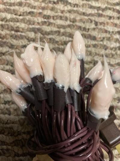 Country String Lights- 50 Ct. - Peppermint
