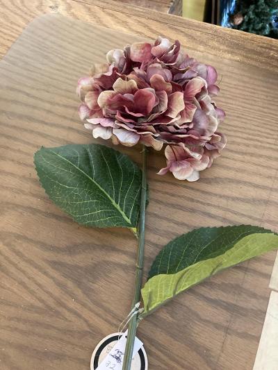 Autumn Mauve Hydrangea