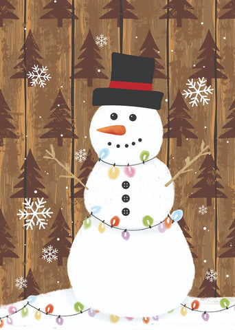 Frosty House Flag